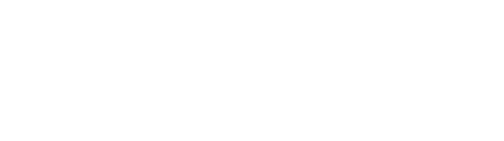The Friendship 2025